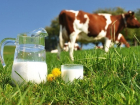 В Дубовском районе запретили пить некипяченое молоко