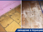 «Сил больше нет терпеть»: о нашествии тараканов и блох рассказали жители Волгодонска 
