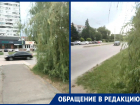 Водители и пешеходы не видят друг друга на проспекте Курчатова