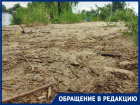 «Это позор для Волгодонска»: главный городской пляж превратился в свалку с мертвыми животными и ветками 