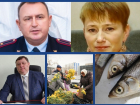 Выборы главы, миграция чиновников, разрешение на лов вкусной рыбы и преступные собаки: самые «горячие» новости Волгодонска за неделю