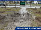 «Зеленое» преображение или грязевое бедствие?: жители Волгодонска требуют навести порядок после высадки деревьев