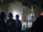 По факту смерти ребенка в инфекционной больнице Волгодонска началась доследственная проверка