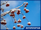 Зимняя сказка в начале весны: Волгодонск вновь засыпало снегом