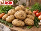 Товар дня: картофель 37 ₽/кг