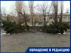 «Спасите ели!»: волгодонцы просят прикопать упавшие елки на площади Дзержинского