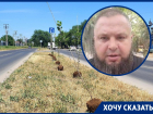 Волгодонец готовит заявление в Генпрокуратуру РФ в связи с высадкой тополей на Прибрежной