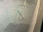 Момент стрельбы у ночного клуба «Кураж» запечатлела камера видеонаблюдения