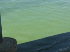 После купания в Цимлянском водохранилище у волгодонца «позеленели» ноги 