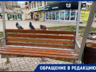 Центр Волгодонска утопает в помете: пенсионерка возмущена, что лавочки захватили голуби