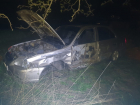 Спасая лису, водитель «Фольксвагена» устроил ДТП на выезде из Волгодонска