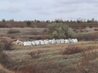 Незаконным вывозом природных камней с берега Цимлянского водохранилища под Саркелом заинтересовались в Минприроды спустя год после публикации в «Блокноте» 