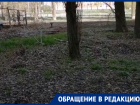 Стихийная свалка на проспекте Курчатова разрастается уже несколько лет: местные жители обеспокоены 