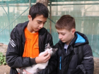 Отважные волгодонцы спасли попавшего в беду котенка по пути на кинофестиваль в Волгограде