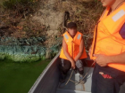 Женщина попыталась переплыть Волго-Донской канал и едва не утонула 