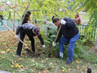 В Волгодонске в День древонасаждения посадят более 2000 деревьев и кустарников