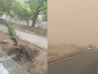 «Поваленные деревья, вырванные оконные рамы и плохая видимость на дорогах»: как Волгодонск переживает пыльную бурю 