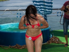 Состязания в купальниках - самый сексуальный этап конкурса «Мисс Блокнот Волгодонска-2016»