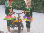 Декоративные цветочницы украсили аллею «Вальс цветов» в волгодонском парке Победы