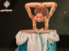 Волгодонские циркачи стали призерами международного конкурса «Увеличительное стекло»