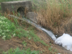 Цимлянское водохранилище около Волгодонска оказалось загрязненным медью и марганцем