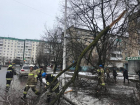 Городские спасатели ежедневно помогают в уборке последствий непогоды в Волгодонске