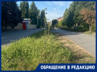 «Если бульвар Великой Победы зарос сорняком!»: горожанам даже страшно представить, что в других микрорайонах Волгодонска