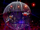 10 бесплатных* билетов в цирк могут получить жители Волгодонска