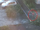В Волгодонске маленький мальчик очистил парковку от упавших во время бури веток 