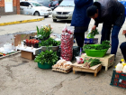 Волгодонцам посоветовали тщательно мыть овощи и фрукты и избегать сомнительных продавцов
