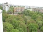 Волгодонские «Дубравушка» и дендропарк попали в список особо охраняемых объектов