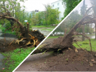 Без света и интернета остались несколько микрорайонов Волгодонска из-за падения деревьев 