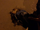 В Волгодонске возле ТРЦ водитель сбил собаку, собрал остатки бампера и уехал