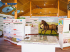 Дом для диких лошадей: заповеднику «Ростовский» исполнилось 28 лет 