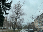 Самый теплый день с начала зимы ожидается в Волгодонске