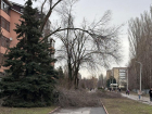 До +8 прогреется Волгодонск во вторник 