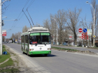 Из-за обрезки деревьев ограничат движение троллейбусов в Волгодонске 