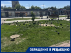 «Что за голубиное кладбище в центре?»: пенсионерка требует убрать трупы пернатых 