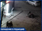 Прыгали как покемоны: группа алкашей в присутствии ребенка устроила грязную драку у детской площадки на Горького