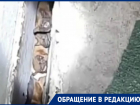 Летучие мыши заполонили балкон на проспекте Мира в Волгодонске 