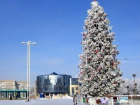 Волгодонск встретит Новый год с одной елкой