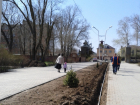 В Волгодонске из парка «Победы» украли дорогостоящие деревья, посаженные к юбилею Великой Победы