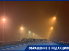 Утро в тумане, коровы на трассе: поездка ранним утром едва не закончилась трагедией