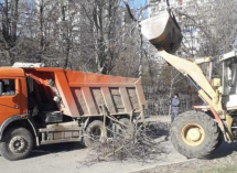 Рабочих рук не хватает: власти Волгодонска призывают горожан помочь в уборке территорий от сломанных веток
