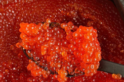 Икра красная и черная, крабы, креветки и рыба: за морскими деликатесами к Новому году приглашает «Берег Вкуса»