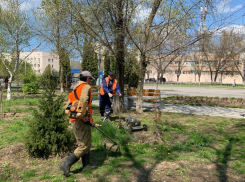 Сквер «Дружба» готовится к открытию сезона