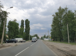 Умеренная жара ожидает Волгодонск в понедельник 