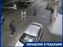 «Дураков на Руси на сто лет припасено»: волгодонцы о хулиганах, разбивших мусорную урну ногами