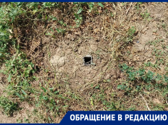 Спилили и безвозвратно увезли теннисный стол с детской площадки: жители Заветного требуют вернуть спортивный инвентарь обратно 