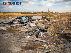 Новыми карами пригрозили в правительстве Ростовской области устроителям нелегальных свалок